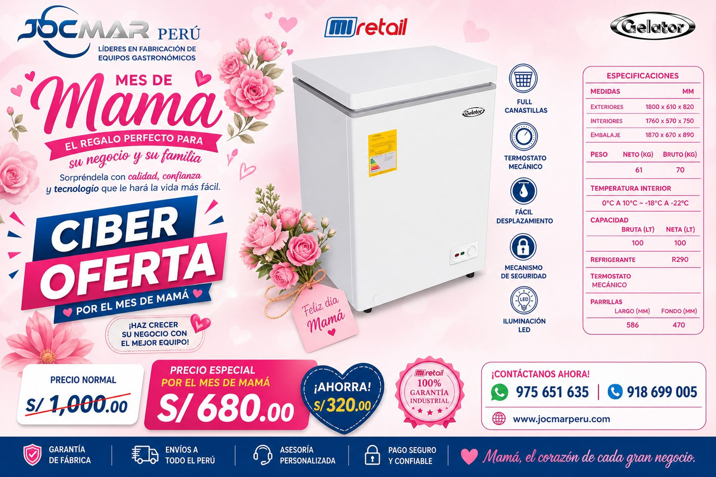 CONGELADORA BD 100