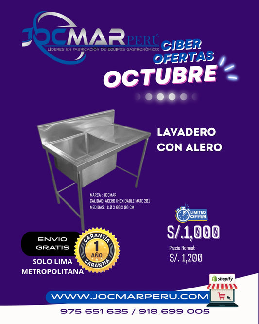 LAVADERO CON ALERO MATE 201